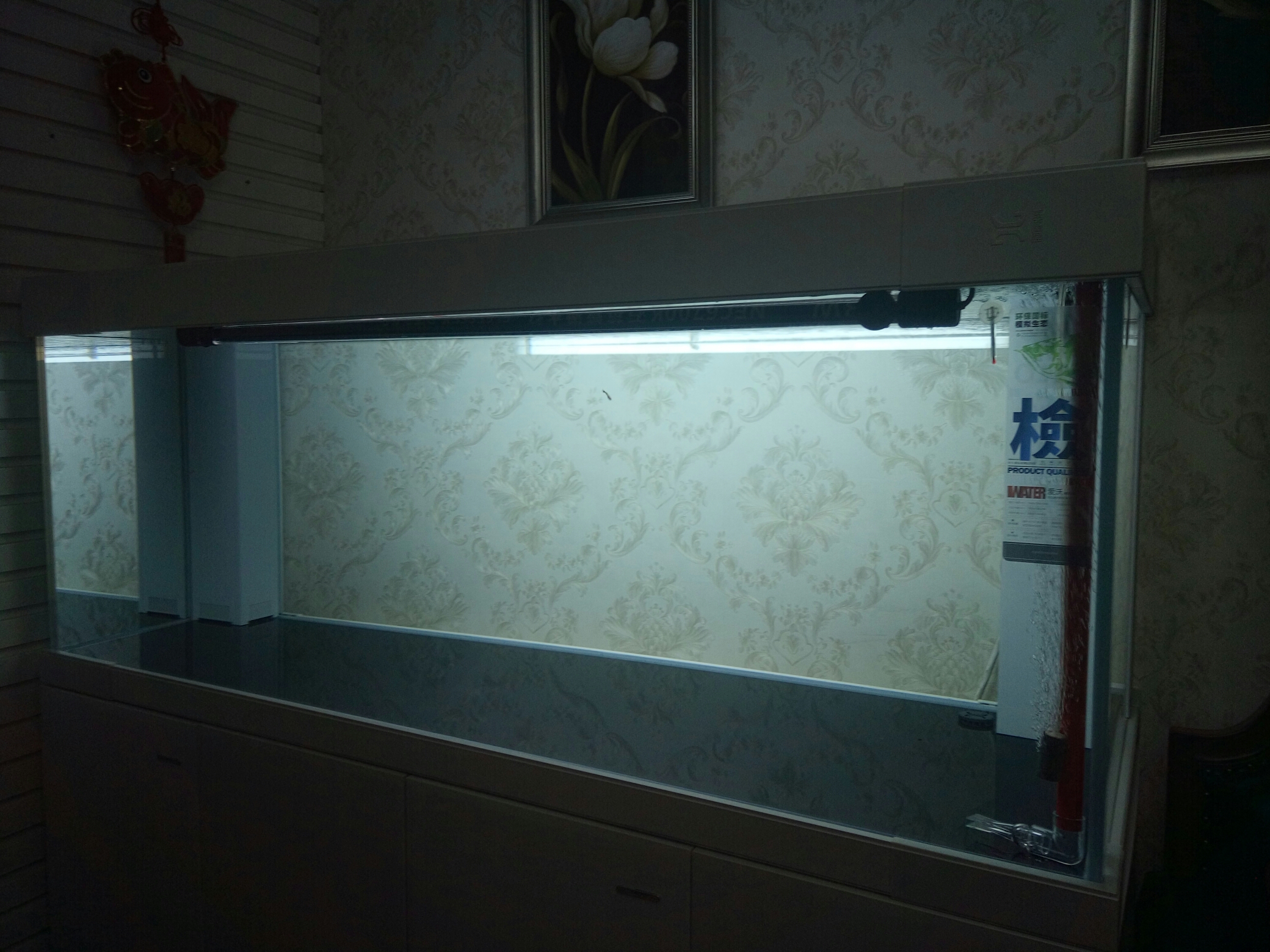 请教潜水灯最佳位置 广州龙鱼批发市场 第1张