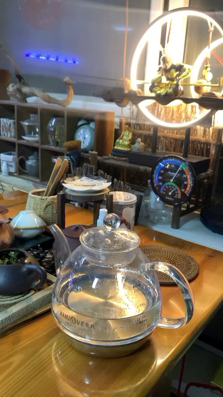 内江水族馆一壶茶一缸鱼一个人 白化巴西龟（白巴） 第1张