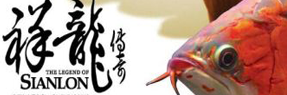 贺州水族馆剑沙金头加了双印 祥龙传奇品牌鱼缸 第3张