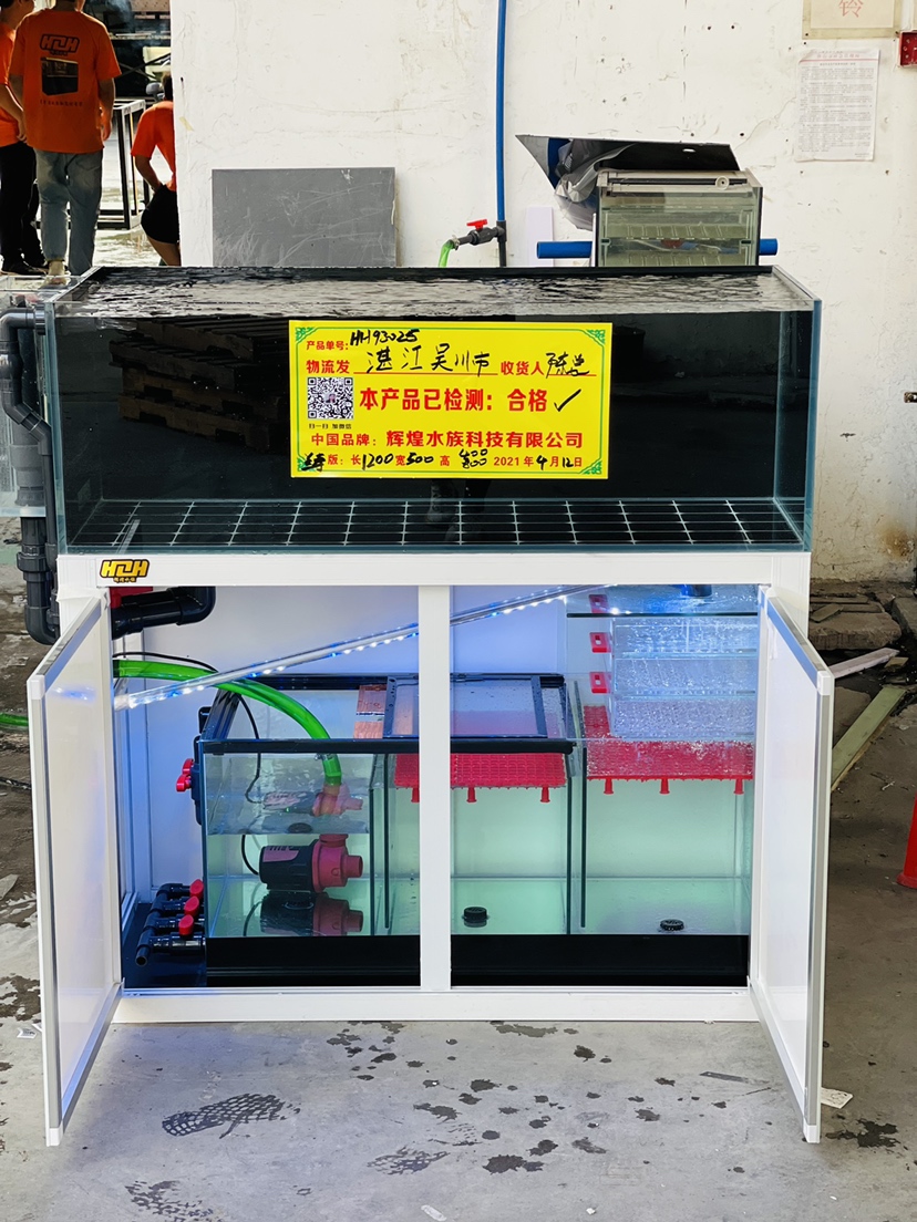 黄南藏族自治州观赏鱼市场兰寿系统缸——圣洁白系列