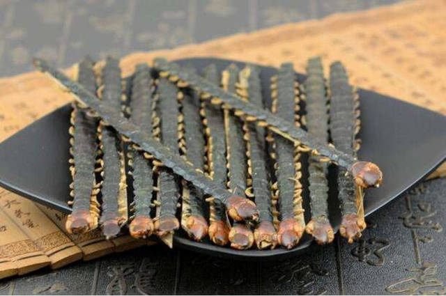 黔南布依族苗族自治州观赏鱼市场晒干的蜈蚣喂食金龙有啥效果没？