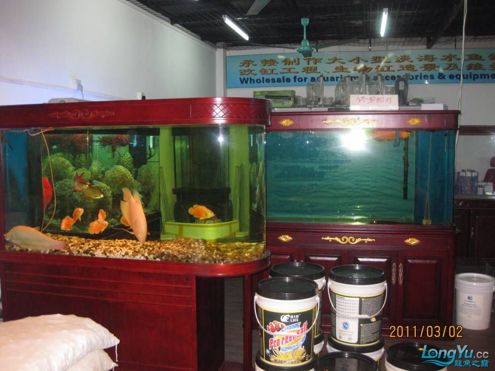 3月花地湾游记图片分享 鱼缸净水剂 第12张