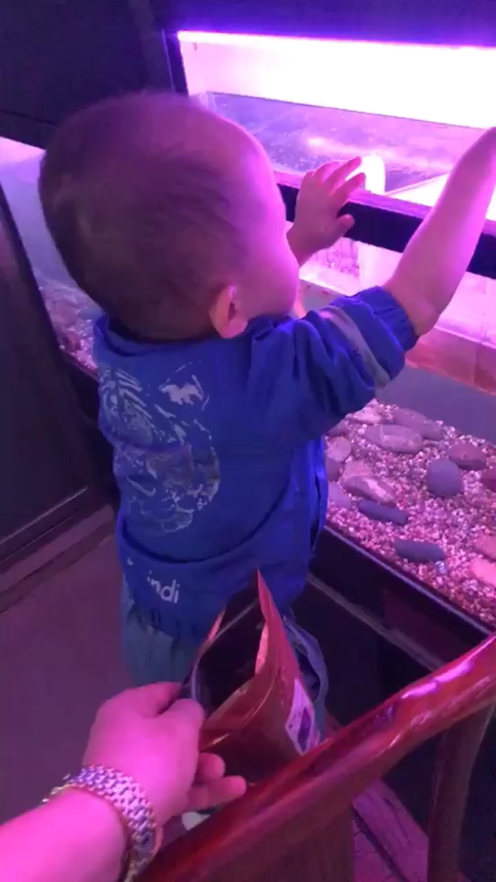 养鱼接班人2岁小鱼童的日常喂鱼记录