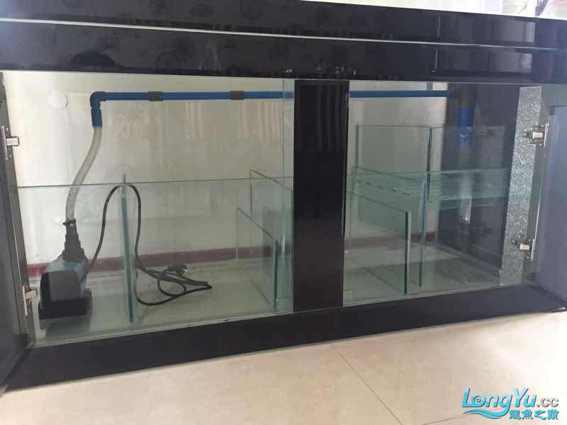 锦州水族馆新缸滤材 印尼红龙鱼 第3张