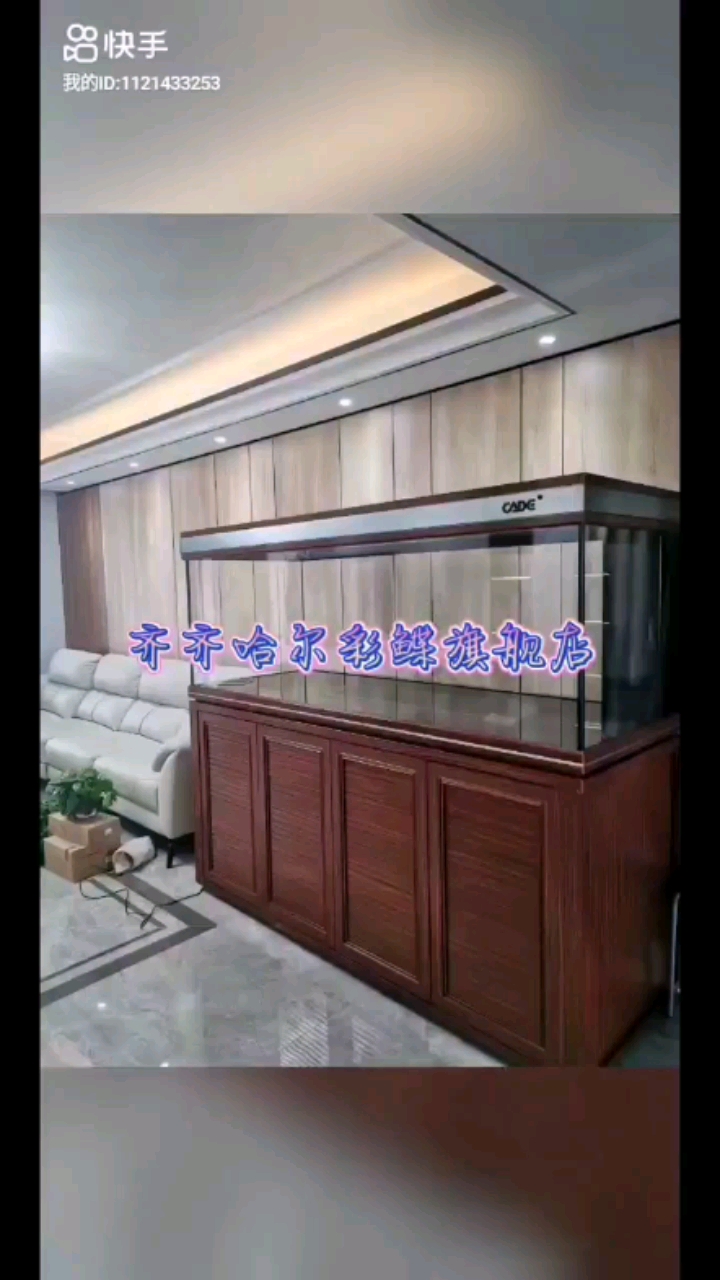 滨州观赏鱼市场彩鲽鱼缸展示