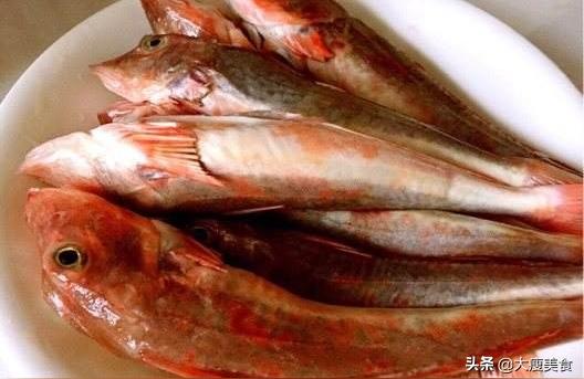 红头利鱼:青岛红头鱼做法 红头利鱼 第2张