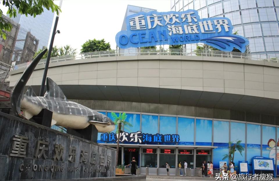 重庆水族馆 观赏鱼企业目录 第2张