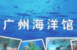 广州水族馆 观赏鱼企业目录 第1张