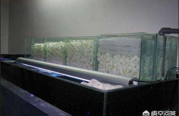 海东鱼池过滤滤材:一吨水100斤滤材够用吗 广州水族器材滤材批发市场