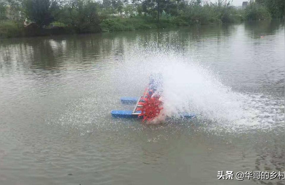 南充鱼池水泵设备:鱼池潜水泵抽水变慢原因 广州水族器材滤材批发市场