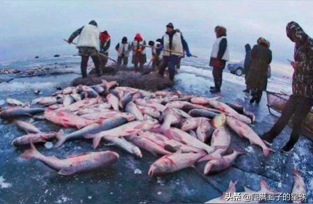 四大渔场:中国四大渔场与世界四大渔场各是什么