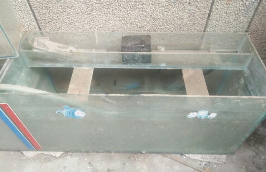 玉溪鱼缸定做:制作玻璃鱼缸的步骤有哪些