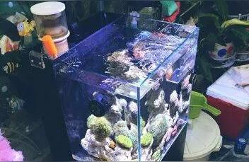 威海鱼缸定做:威海哪里有做海水缸的 鱼缸