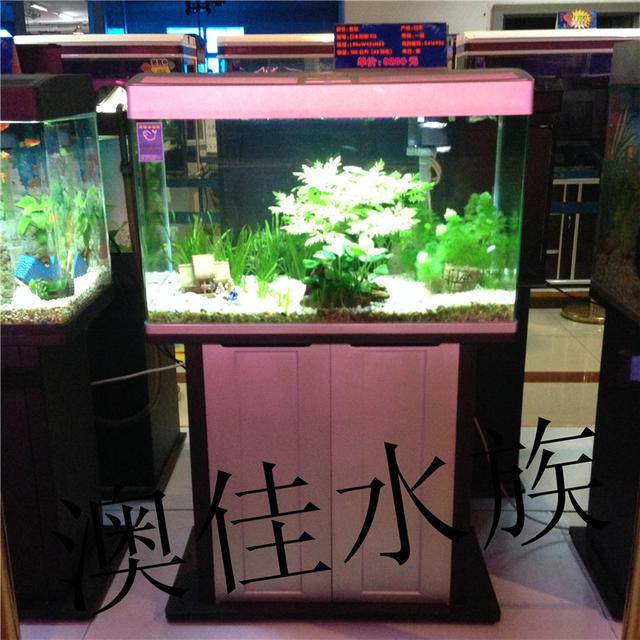 香港鱼缸定制:香港哪里有鱼缸买