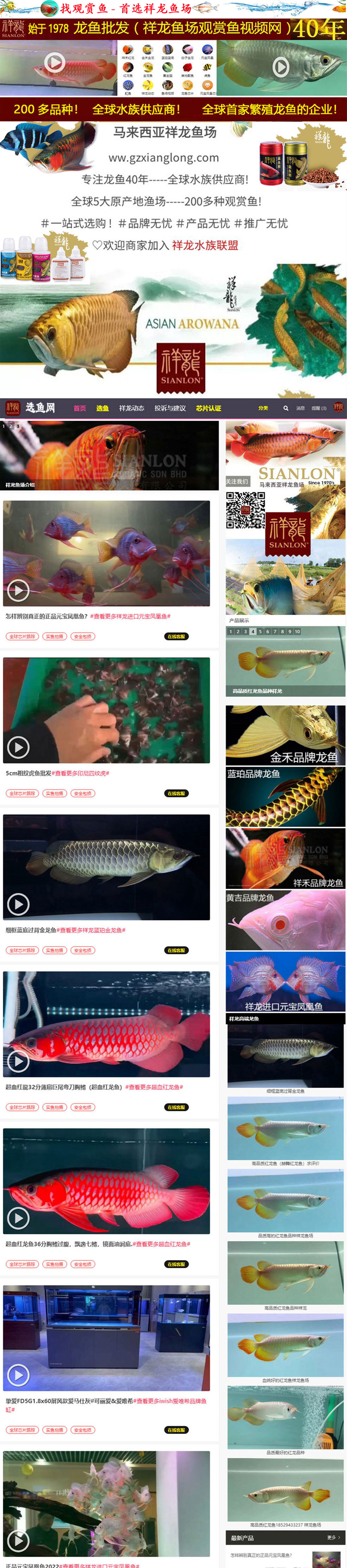 关于红龙鱼专用灯排行榜最新的信息第1张