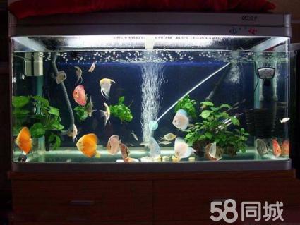 北京鱼缸售后维护电话:森森鱼缸能在北京定做