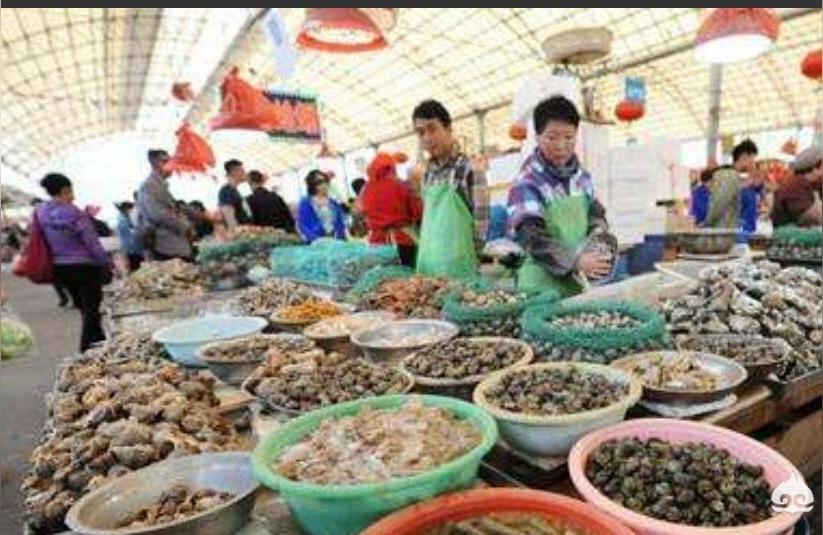 保定龙鱼批发市场:离保定最近的批发冷冻鱼和活鲫鱼市场在哪 龙鱼批发