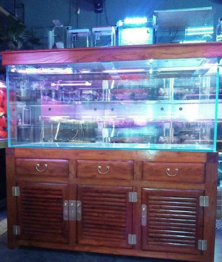 鱼缸批发市场:杭州哪里有卖整体鱼缸
