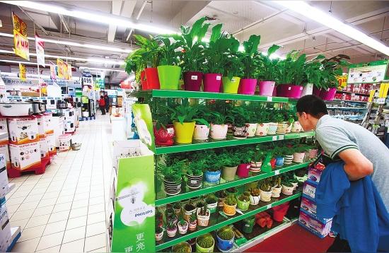 郴州花鸟鱼虫市场:花鸟市场里是卖什么东西的