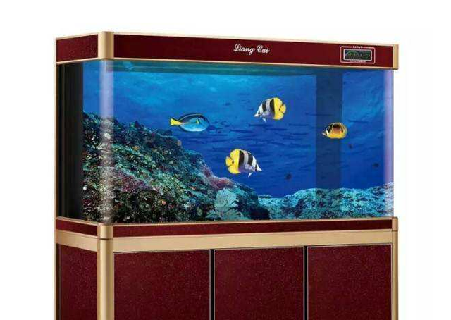 高端鱼缸品牌十大排名:aquarium是什么牌子 鱼缸