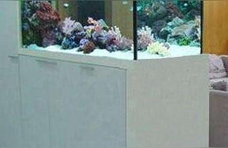 彩蝶鱼缸多少钱一米5:做一个15米鱼缸大概需要花多少钱 鱼缸