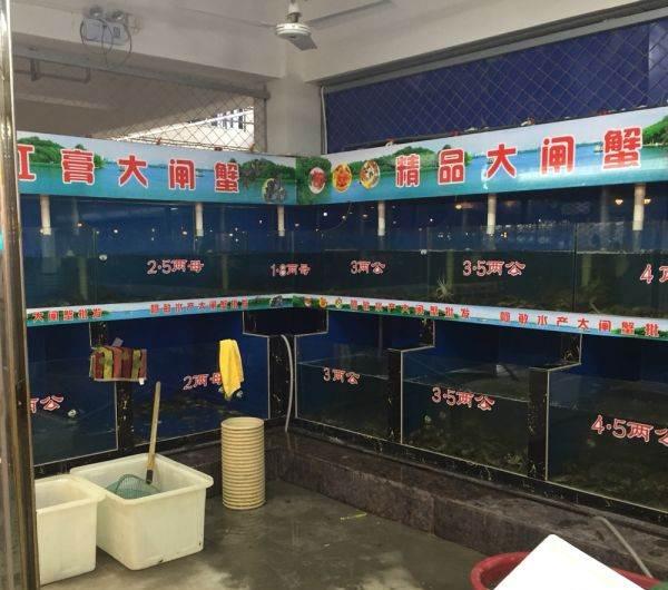 重庆鱼缸批发市场:重庆有那些观赏鱼市场