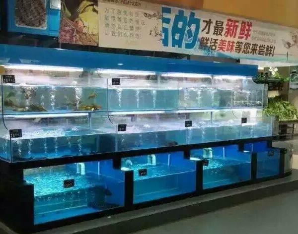 西安鱼缸批发市场:西安含元花世界有蝈蝈吗