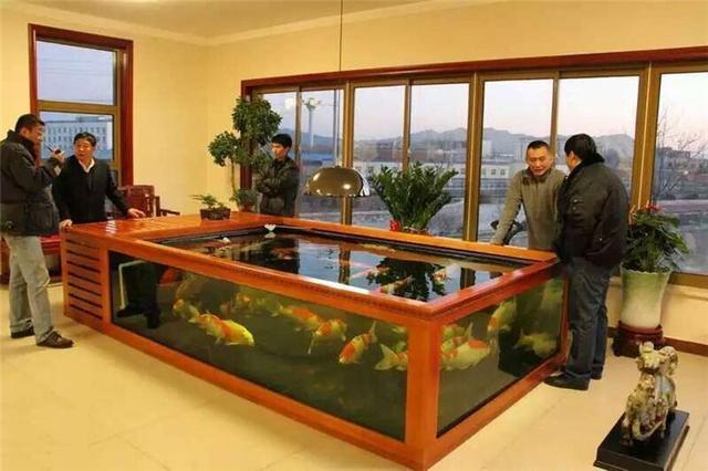芜湖二手鱼缸:3000块买个二手鱼缸可以吗 鱼缸