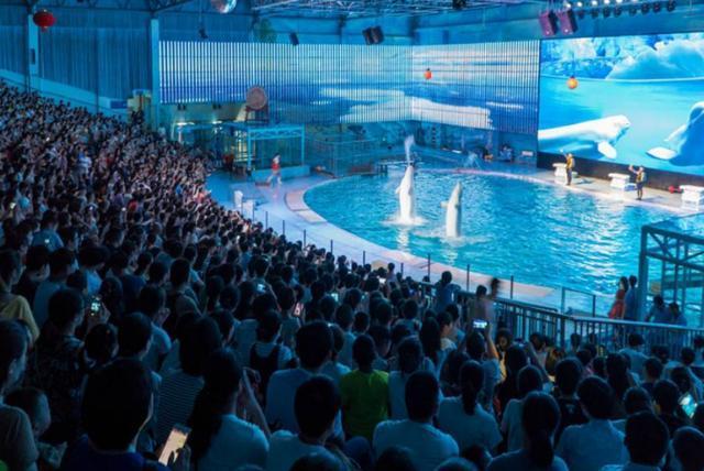 宁波哪里有水族馆（店）:宁波海底世界和是海洋馆吗