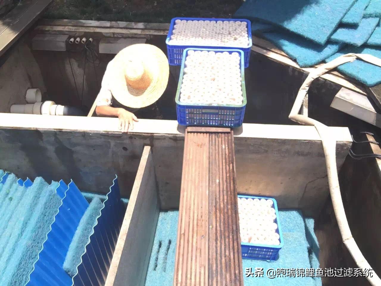 西安鱼池过滤滤材 广州水族器材滤材批发市场
