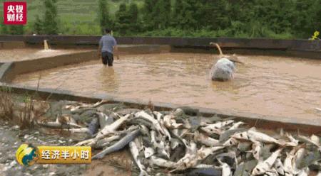 赣州鱼池水泵设备 广州水族器材滤材批发市场