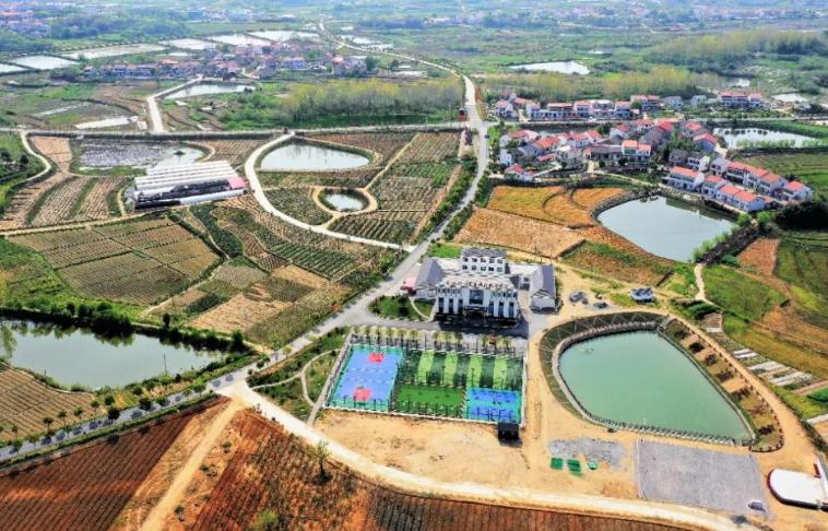 黄冈鱼池水泵设备 广州水族器材滤材批发市场 第1张