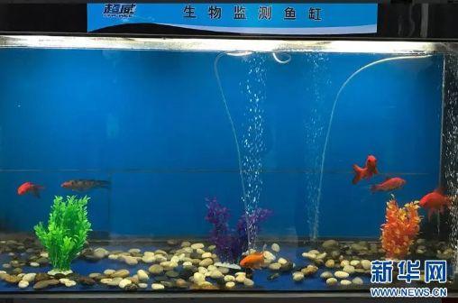 鱼缸专用蓄电池 广州水族器材滤材批发市场