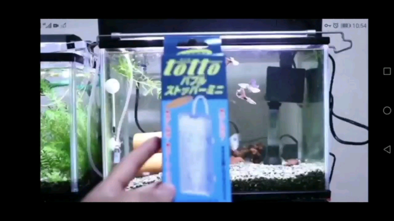 日本鱼友供氧器材小分享