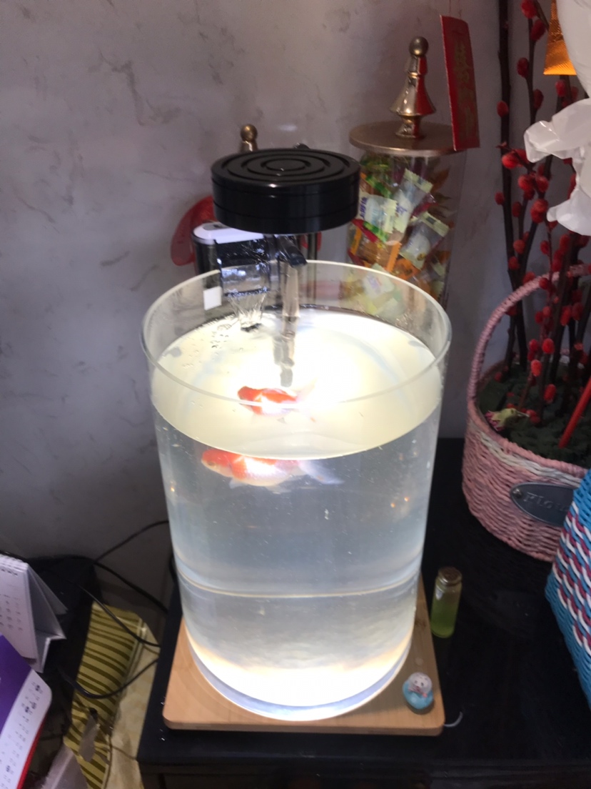 水泵到啦 鱼缸水质稳定剂 第3张