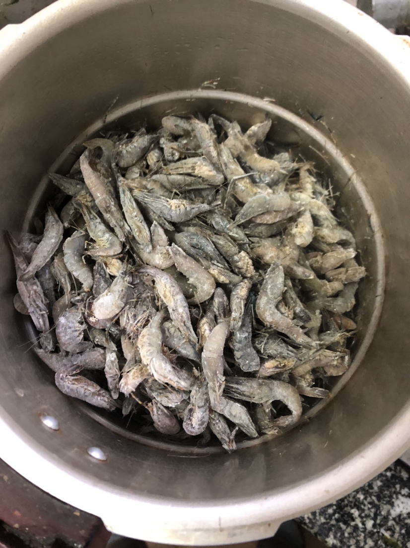 渭南水族馆买了点河虾做鱼食