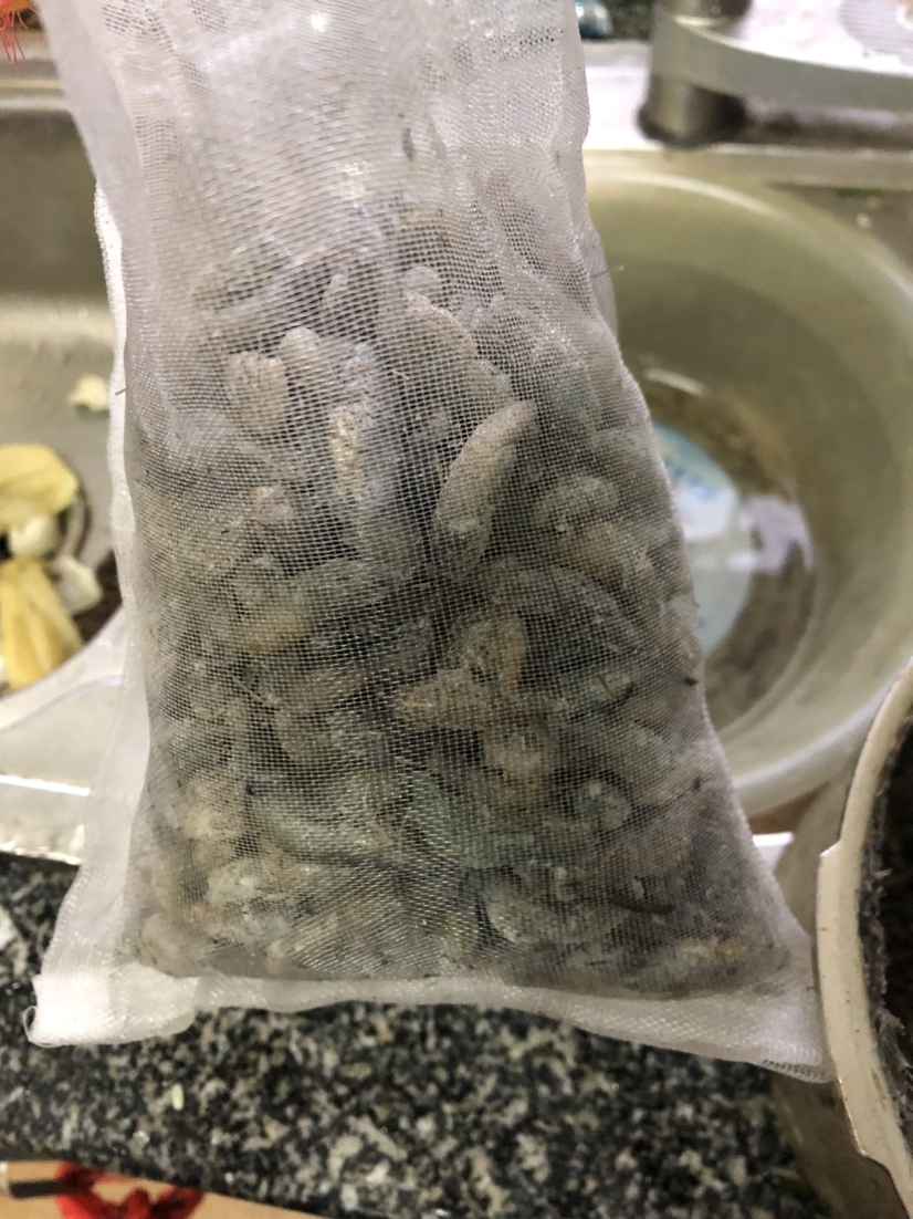 渭南水族馆买了点河虾做鱼食 黑水素 第5张