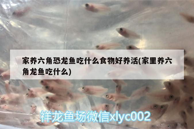 杭州临安缘生人花店 全国水族馆企业名录 第2张