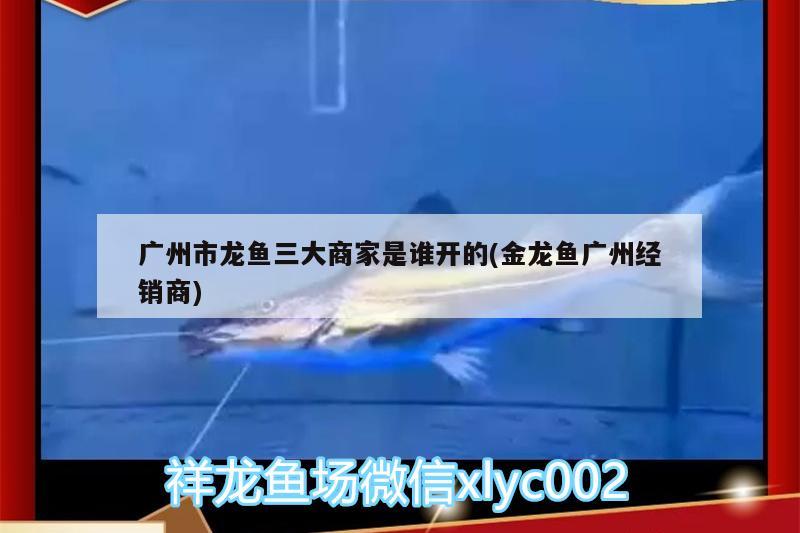 国内一级海洋馆鱼缸设计公司，2020年度中国生态鱼缸行业十大品牌荣登“2020年度生态鱼缸行业十大品牌”