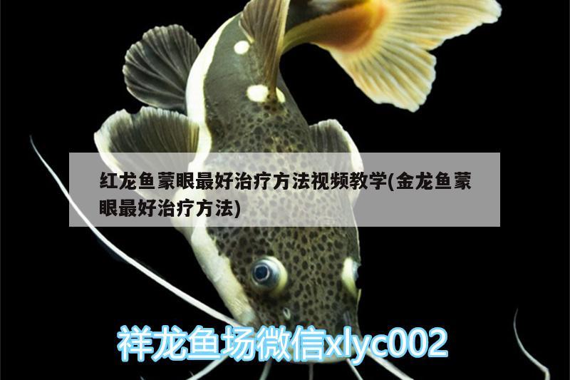 宜昌水族馆啥鱼？
