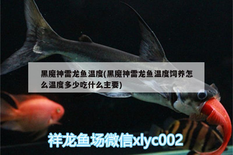 银鼓鱼饲养要点，银鼓鱼怎么养好银鼓鱼，银鼓鱼饲养技术对应的信息 水族用品 第3张