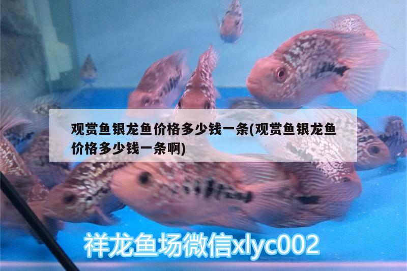 一米亚克力鱼缸价格表（一米亚克力浴缸多少钱） 广州水族器材滤材批发市场 第1张