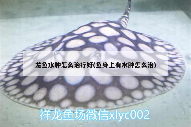 大同鱼缸钢瓶哪里加二氧化碳最多呢（（2014•大同二模）已知铜绿[Cu2（） 赤焰中国虎鱼 第2张