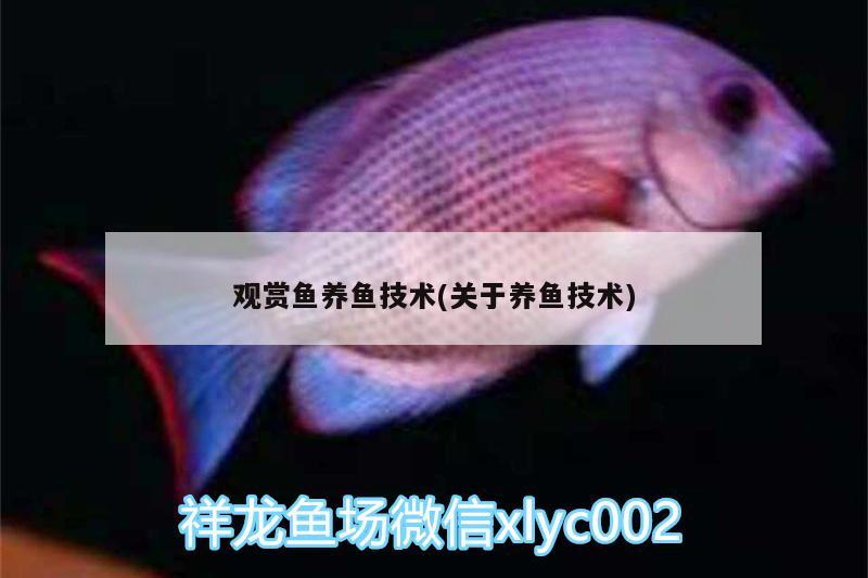天王水族鱼缸清洗教程图解视频（你喜欢哪几个快手网红） 广州祥龙国际水族贸易 第1张