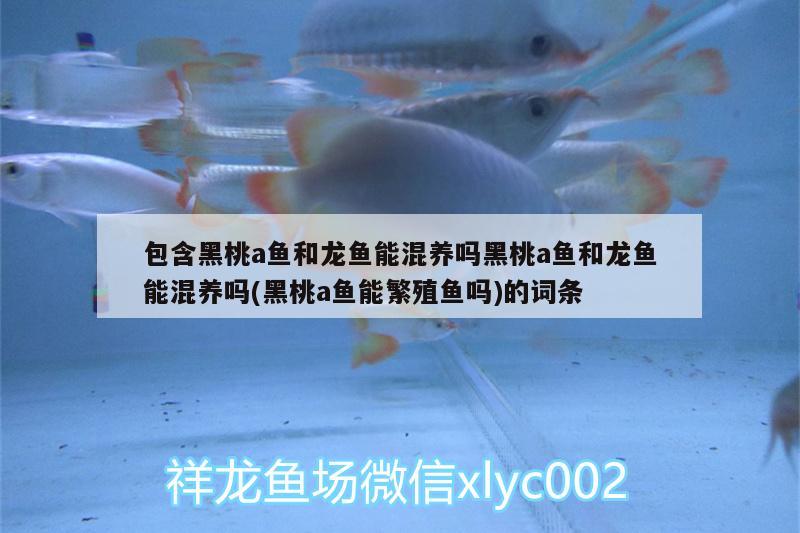 ERROR，陕西观赏鱼的价格怎么样