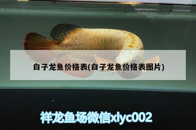 鱼缸水一晚变浑浊(鱼缸水刚换一天变浑浊) 广州观赏鱼批发市场