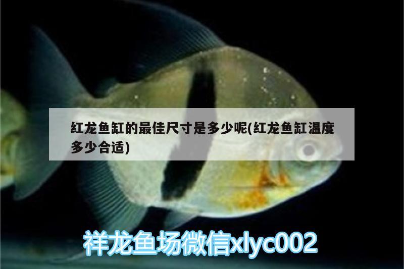 杭州万龙鱼缸有限公司产品图片（万隆生态300鱼缸自带小上滤怎么放滤材） 鱼缸 第2张