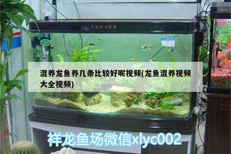 杭州万龙鱼缸有限公司产品图片（万隆生态300鱼缸自带小上滤怎么放滤材） 鱼缸 第1张