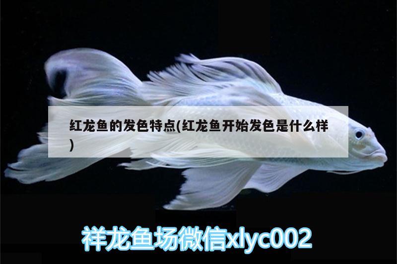 杭州鱼缸造景培训机构排名前十 杭州订做鱼缸 过滤设备