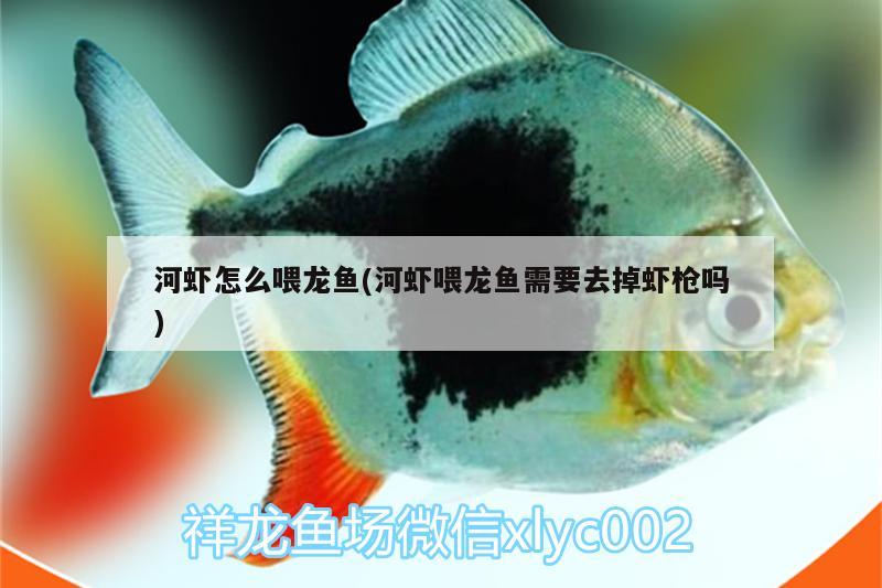 如果到湛江旅游，你最想去哪几个地方，广西北海当地的海鲜主要有什么 养鱼的好处 第1张